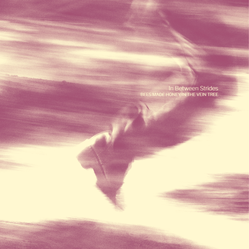 Bees Made Honey In The Vein Tree - In Between Strides Vinyl LP  |  Galaxy